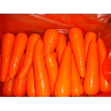 Competitive and Good Quality Fresh Carrot (80-150g)